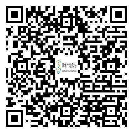 手機(jī)端瀏覽網(wǎng)站